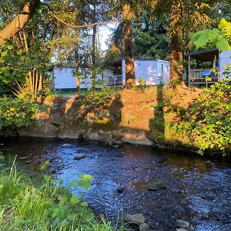 S-Chalet Camping Mit Comfort Im Schwarzwald Steinach  Exterior foto