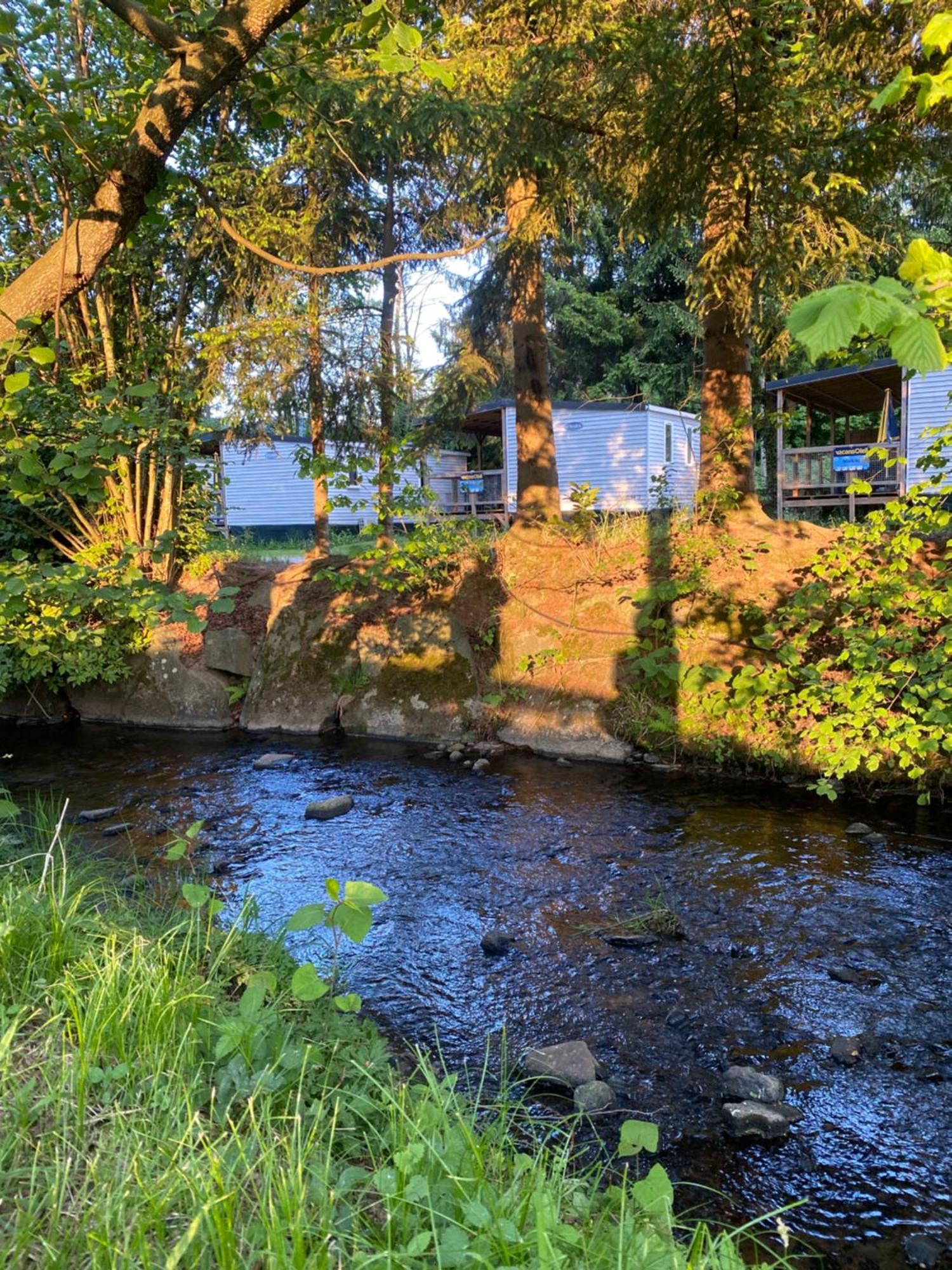 S-Chalet Camping Mit Comfort Im Schwarzwald Steinach  Exterior foto